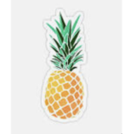 Pineapple problems