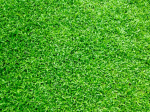 grass.inc