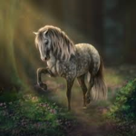 -Forest Oaks Equestrian-