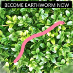 OFFICIAL EARTHWORM FAMILY