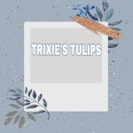 Trixie’s Tulips