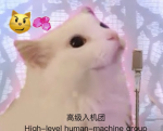 高级入机团