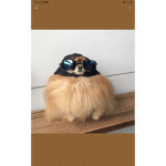 Epic Chicken Nugget Gang