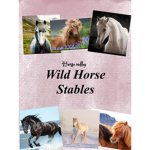 WILD HEART RIDING ACADEMY