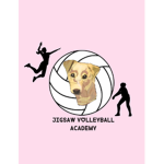 Jigsaw Volleyball