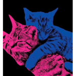 Scoduxkh