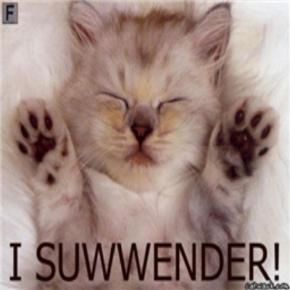 cat pic 21 Roblox decal