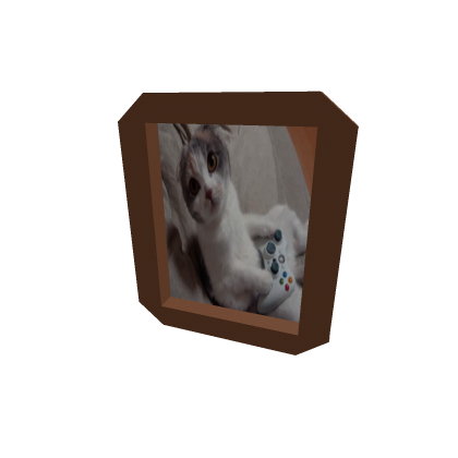 ★ Xbox Cat Portrait ★