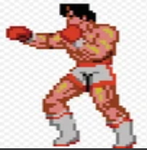 Boxing official