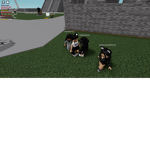 I'm Giving Robux To My Friend...