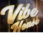 Vibe house party