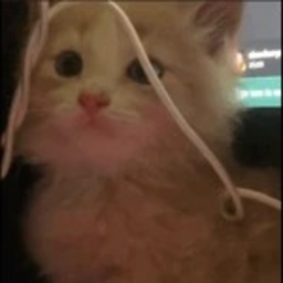 ୨୧