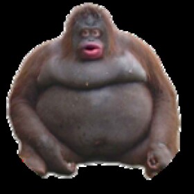 BOOGA BOOGA BANANA