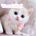 'Kawaii mall