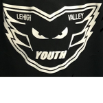 AJ’s Hockey team RBLX STARS
