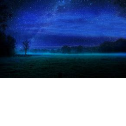 wander in the night
