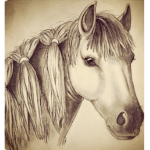 The Pony Barn
