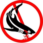 Sharkbite: SHARK HUNTERS!
