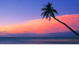 Island of the Aesthetics