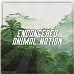 Endangered Animal Nation