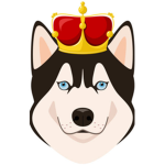 Husky kings