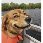 robuxsssssssssssssssssssssssssssssssssssssssss