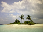 Island Sandbox Official Group