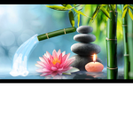{ Zen Cult }