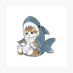 Cat and shark