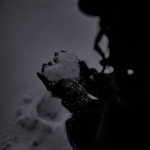 winter ,