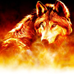 Wolves Of Fire(Donations Please To)