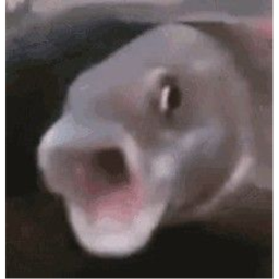40%