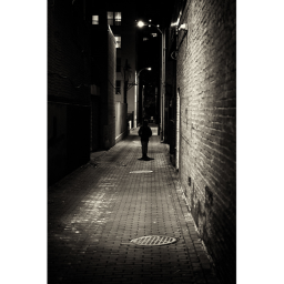 The Alley