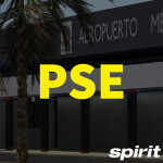 Mercedita International Airport