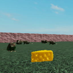 Rat and Cheese