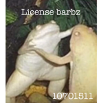 License barbz