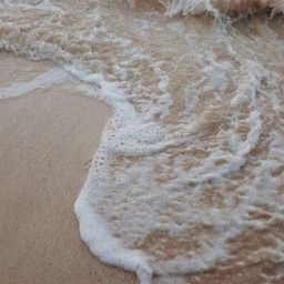 ✦