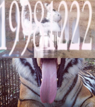 SimplyKyndal Fan Group ღ