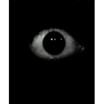 Those who see