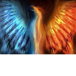 Red and Blue Phoenix