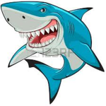 MrShark Group