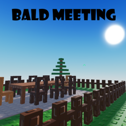 Bald Meeting