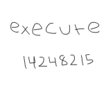 execute.