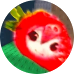 Strawberry Season