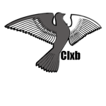 The DoveClub