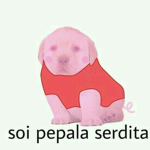 Today its Your Day