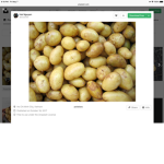 THE POTATOZ ARMY