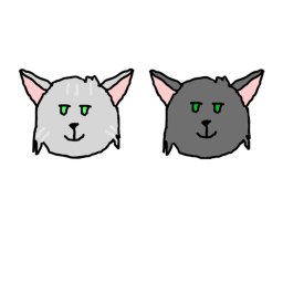 Warrior cats!