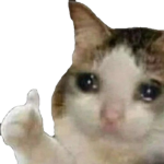 (个_个)