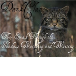 Warriors of darkclan